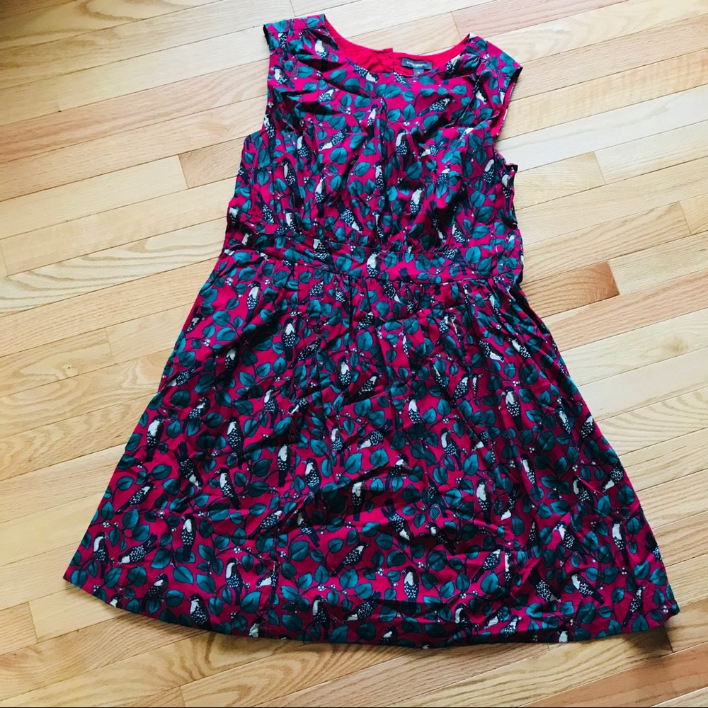 modcloth emily and fin bird print dress